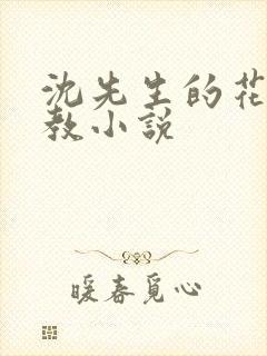 沈先生的花式管教小说