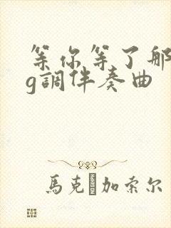 等你等了那么久g调伴奏曲封面