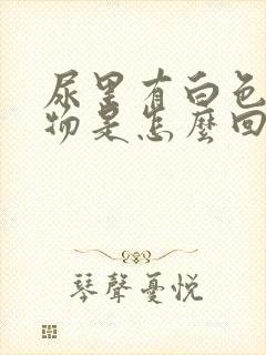 尿里有白色絮状物是怎么回事男性