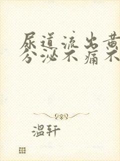 尿道流出黄脓状分泌不痛不痒