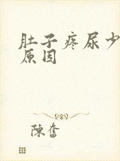 肚子疼尿少什么原因