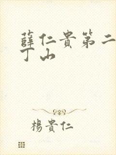 薛仁贵第二部薛丁山封面