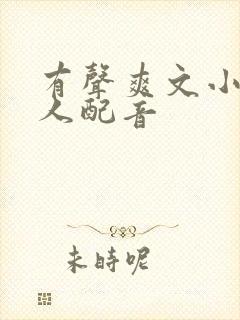 有声爽文小说双人配音