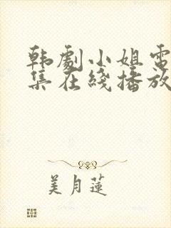 韩剧小姐电影全集在线播放