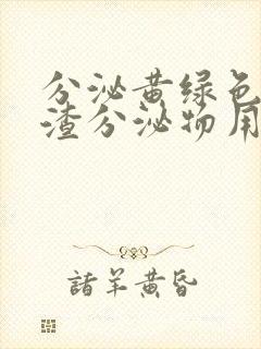 分泌黄绿色豆腐渣分泌物用什么药