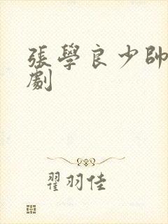 张学良少帅电视剧