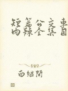 短篇公交车高h肉辣全集目录封面