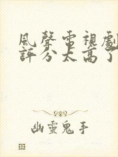 风声电视剧豆瓣评分太高了