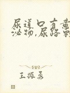 尿道口有黄色分泌物,尿路刺痛封面