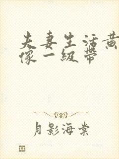 夫妻生活黄色录像一级带