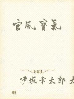 官风宝气封面