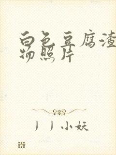 白色豆腐渣分泌物照片