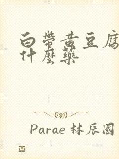 白带黄豆腐渣用什么药