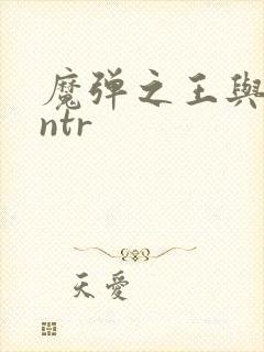 魔弹之王与战姬ntr