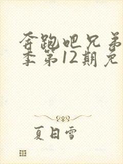 奔跑吧兄弟第五季第12期免费观看