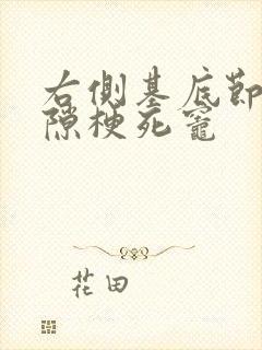 右侧基底节区腔隙梗死灶