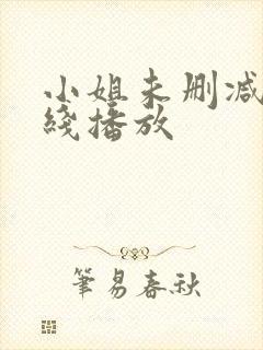 小姐未删减版在线播放