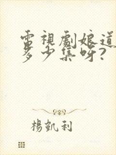 电视剧娘道一共多少集呀?封面