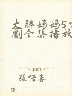 大胖妈妈5电视剧全集播放