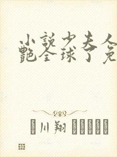 小说少夫人她惊艳全球了免费下载封面