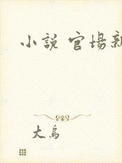 小说 官场新贵封面