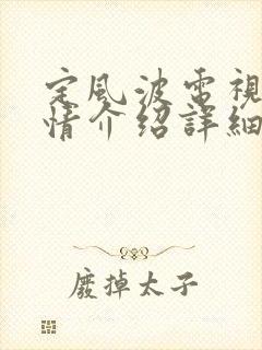 定风波电视剧剧情介绍详细封面