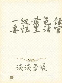 一级黄色录像夫妻性生活官网