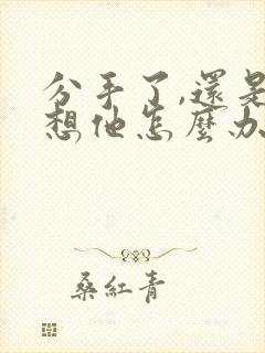 分手了,还是很想他怎么办封面