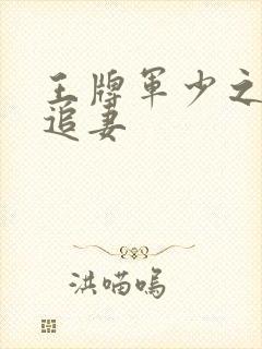 王牌军少之特战追妻