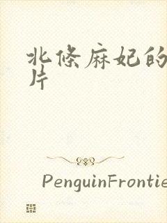 北条麻妃的一级片