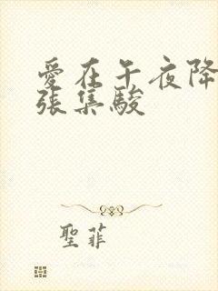 爱在午夜降临前张集骏