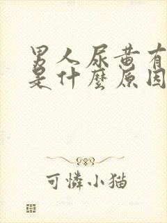 男人尿黄有泡沫是什么原因