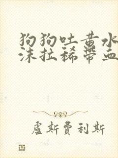 狗狗吐黄水带泡沫拉稀带血