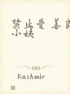 禁止爱 善良的小姨