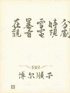 在暴雪时分免费观看电视剧完整版封面