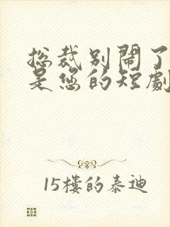 总裁别闹了孩子是您的短剧在线观看封面