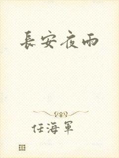 长安夜雨