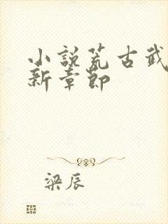 小说荒古武神最新章节