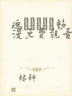 魂インサート动漫免费观看第一季