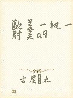 欧美一级一片内射美a9