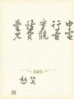 爱情实行中韩剧免费观看电视剧封面