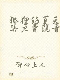 狐狸的夏天22集免费观看封面