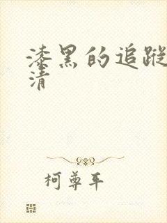 漆黑的追踪者高清