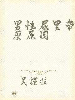 男性尿里带血什么原因封面