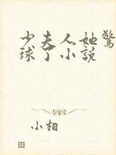 少夫人她惊艳全球了小说封面