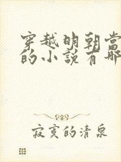 穿越明朝当皇帝的小说有哪些封面