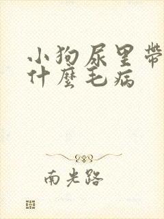 小狗尿里带血是什么毛病