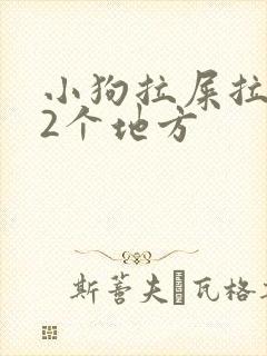 小狗拉屎拉尿分2个地方