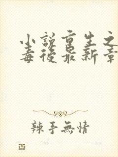 小说重生之将门毒后最新章节列表最