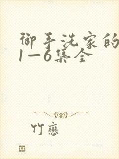 御手洗家的破洞1—6集全封面